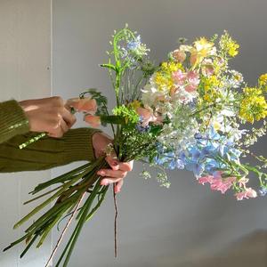 落笔成书（live）单依纯版