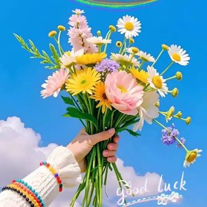 WAV文件_我只是牛马啊_51562924941418500_1770557720845