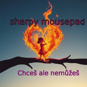 Chceš ale nemůžeš