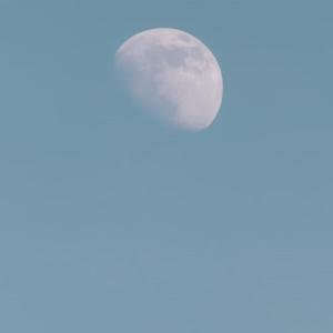 【FREE】"有缘再见" Guitar Type Beat