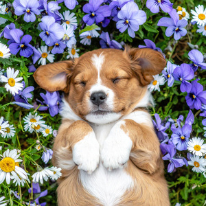 Una Mente En Calma Para Enfocarse Intensamente