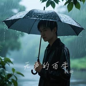 无声的雨季