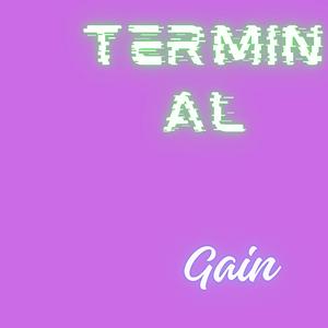Terminal