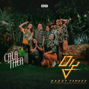 Tributo a Daddy Yankee