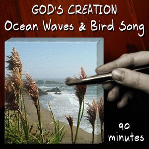 Ocean Waves and Bird Song (90 Minutes)