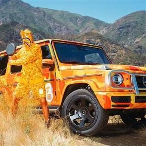 幻境森林 - 第六期