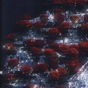 落泪玫瑰（Prod.VERTEXMUSIC）