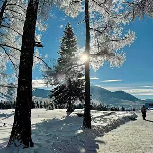 夏天的雪