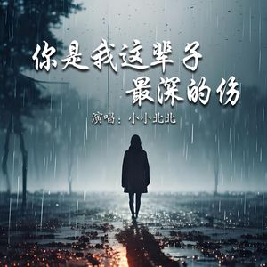 你是我这辈子最深的伤