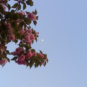 今晚上你要走你就走远点最好你也不要回头