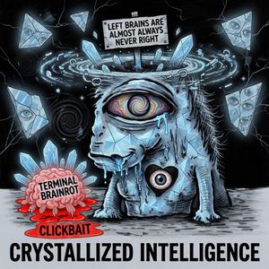 CRYSTALLIZED INTELLIGENCE