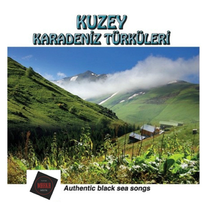 Bekledim Yollarını