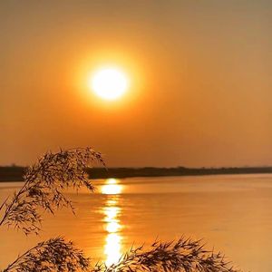 穿过沼泽遇见-整曲