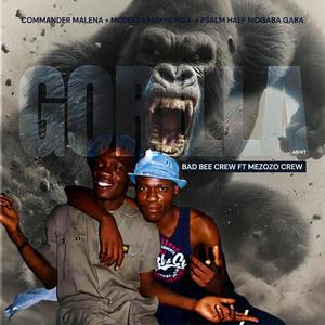 GORILLA (feat. MOREFZA MAPHORISA)
