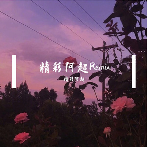 Twins、Boy'z-死性不改 (Remix2)（精彩阿超 remix）