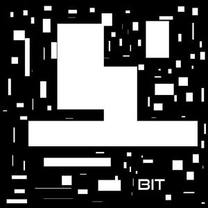 Bit
