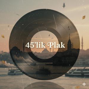 45'Lik Plak