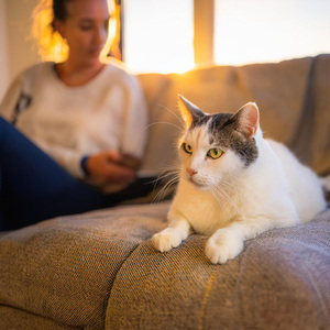 Sonidos De Guitarra Balanceándose