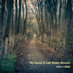 늦겨울 산바람소리