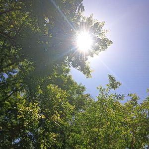 金色阳光（纯音乐）