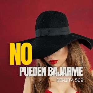 No Pueden Bajarme