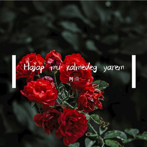 kalmedeg yarem