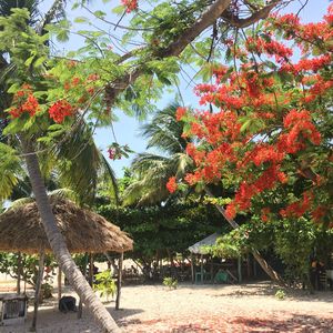 抚慰的假期回忆