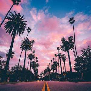 ₗₒw ₐₗₜᵢₜᵤdₑ fₗᵢgₕₜ