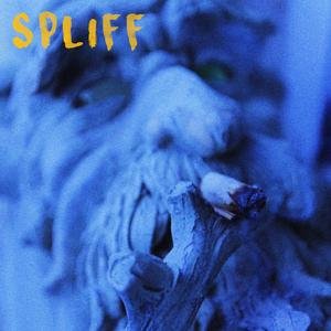 SPLIFF