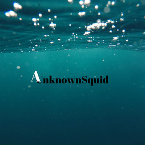 AnknownSquid