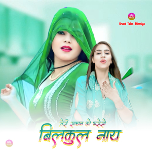 तेरी साथन को भरोसो बिलकुल नाय