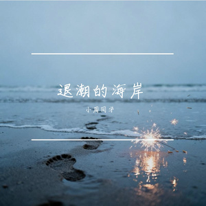 退潮的海岸
