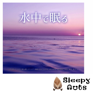 夜、眠れない貴方のための睡眠導入ヒーリング音楽 短時間睡眠で疲労回復 (自律神経を整える睡眠用 波音)