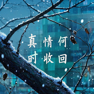 真情何時收回