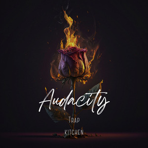 Audacity