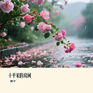 十平米的房间 (黑子 Remix)