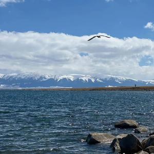 Aurora Over Silent Peaks