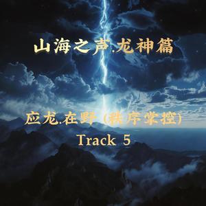 应龙.在野 (秩序掌控）Track 5