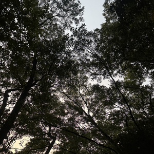 除了想念还能用什么填补内心的空缺