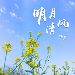 明月清风 (DJheap九天版)