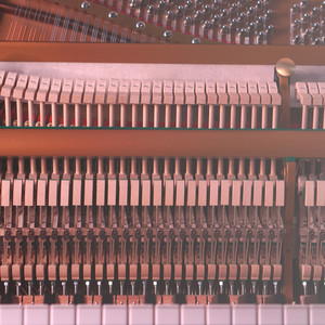 Waltz in G Minor (Piano)