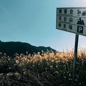 失 之 城（翻自 尧十三）