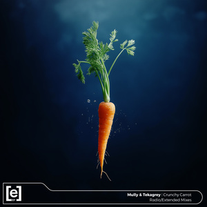 Crunchy Carrot (Extended Mix)
