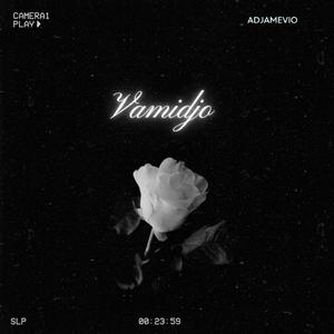 Vamidjo