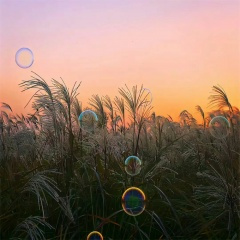 你若不离 我便不弃