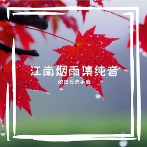 夕阳下的芦苇花