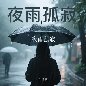 夜雨孤寂