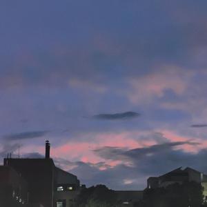 下一次，试着爱吧 伴奏