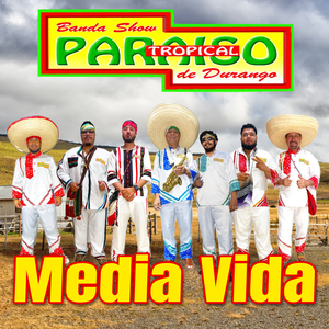 El Pulmón
