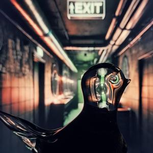 Exit Sign